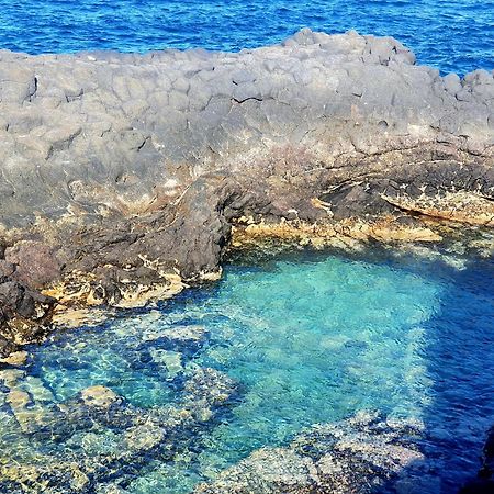 Finca Los Loros Icod De Los Vinos By Hrtenerife Net Santa Cruz de Tenerife Dış mekan fotoğraf